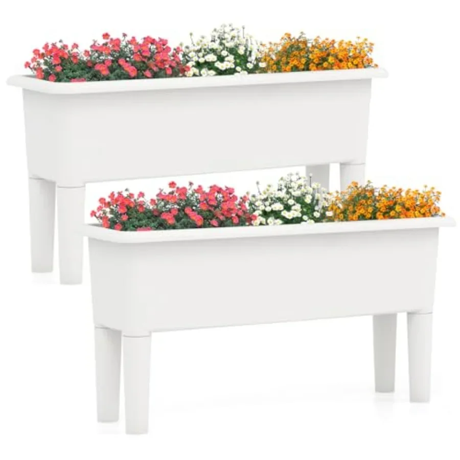 مجموعة من حوضين لزراعة النباتا - مراجعة Self-Watering Planter وسعره